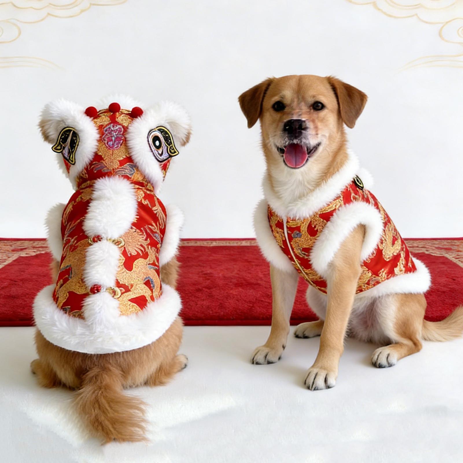 Winter Clothing Dress Up - Lion Dance Cat Costume Winter Puppy