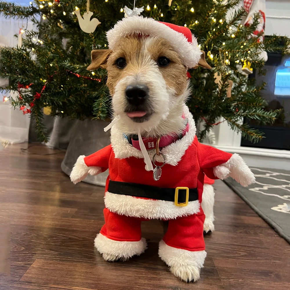 Christmas Clothes For Dogs Cat - Winter Clothing Dress Up review and price